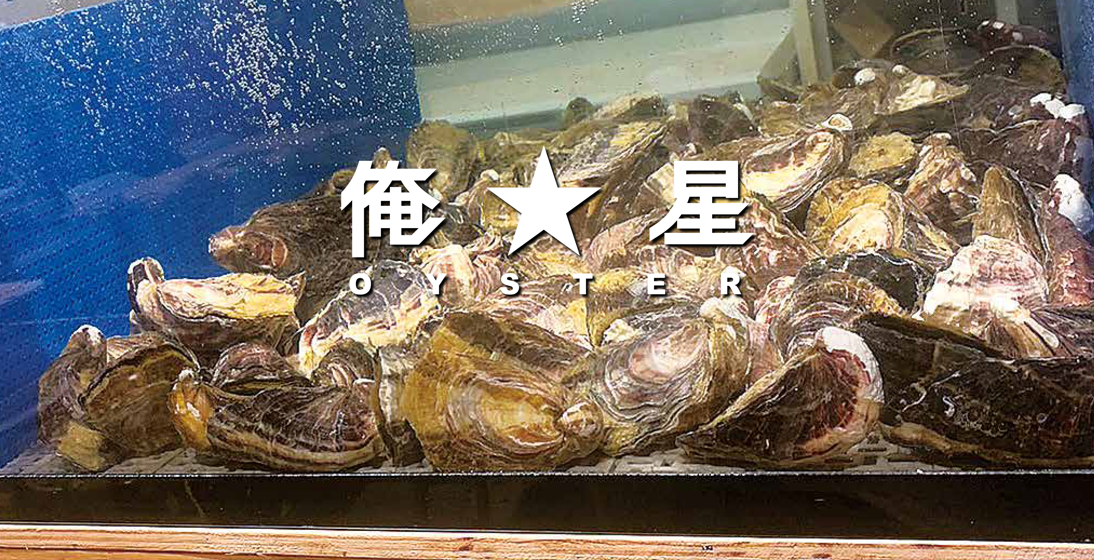 俺★星 OYSTER